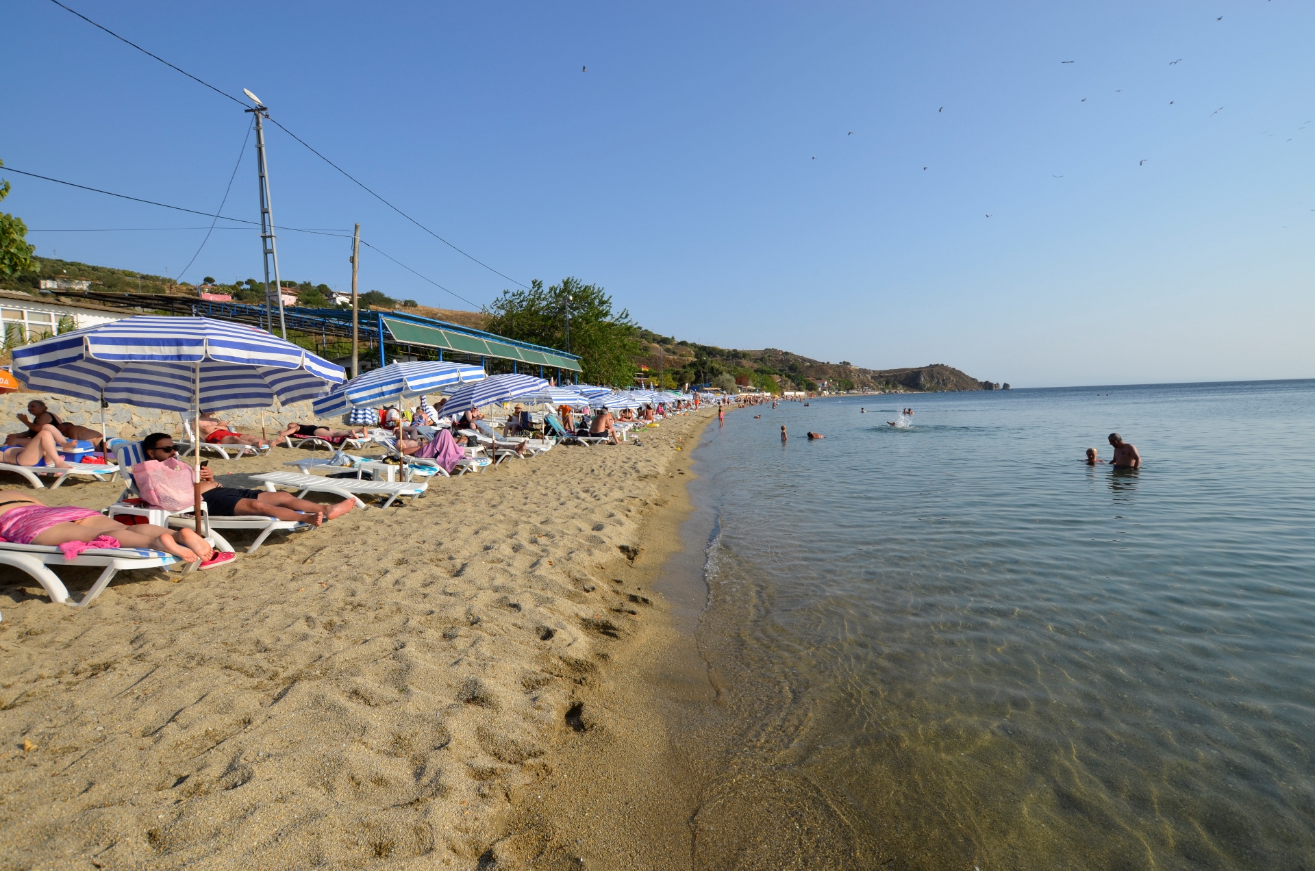 AVŞA ADASI DENİZE SIFIR PANSİYONLAR