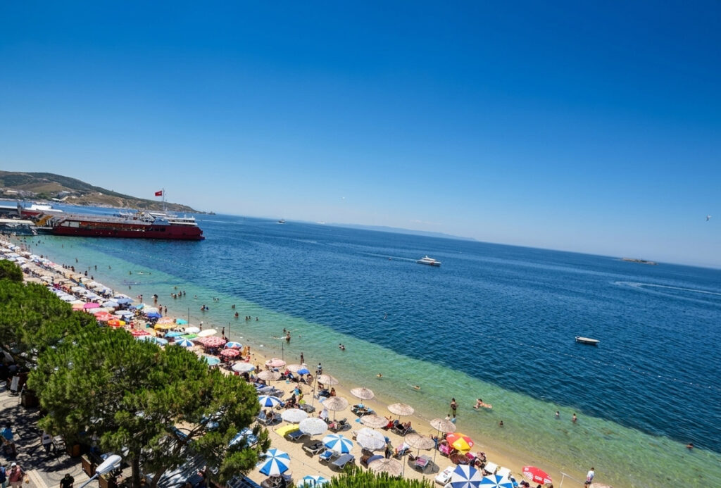 avşa adası rehberi